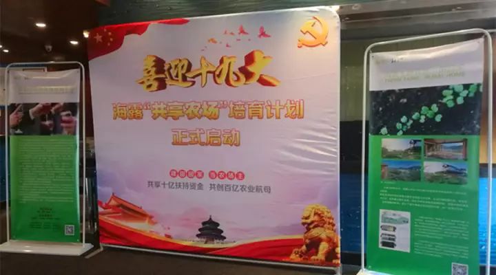 1-1G12323562J38 首页 - PNG电子官方网站
