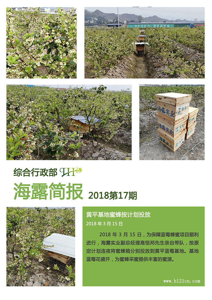 首页 - PNG电子官方网站