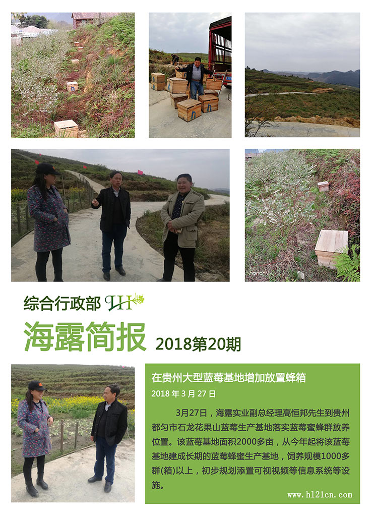 首页 - PNG电子官方网站