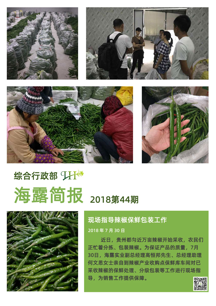 首页 - PNG电子官方网站