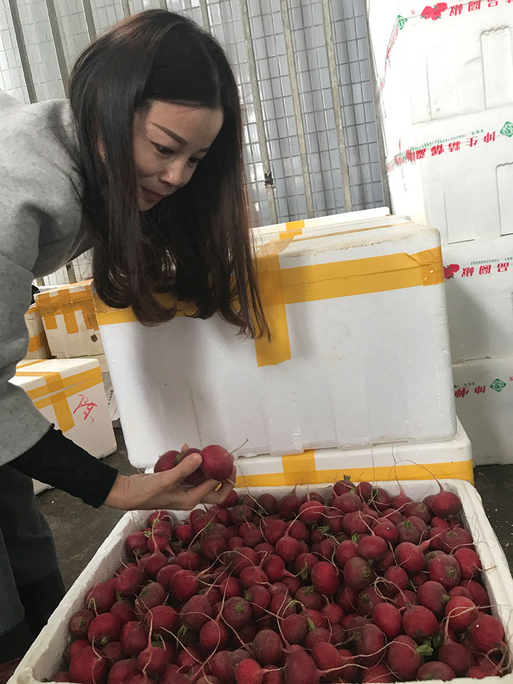 首页 - PNG电子官方网站