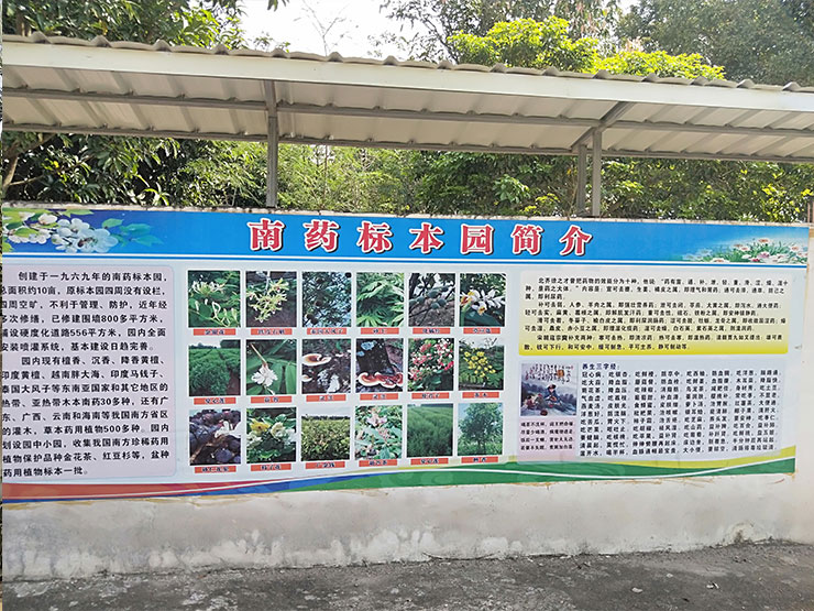1-1Z21Q10J5128 首页 - PNG电子官方网站