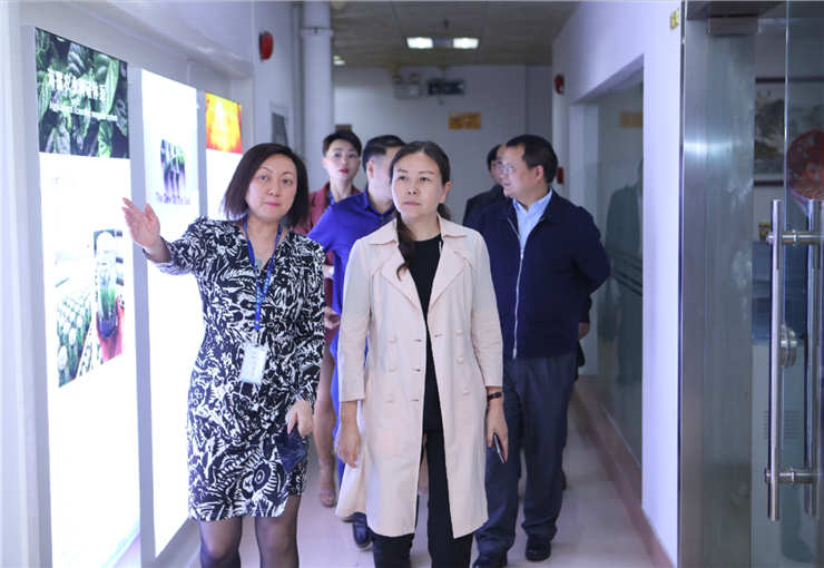 首页 - PNG电子官方网站