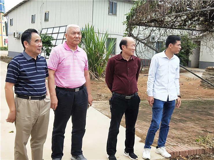 首页 - PNG电子官方网站