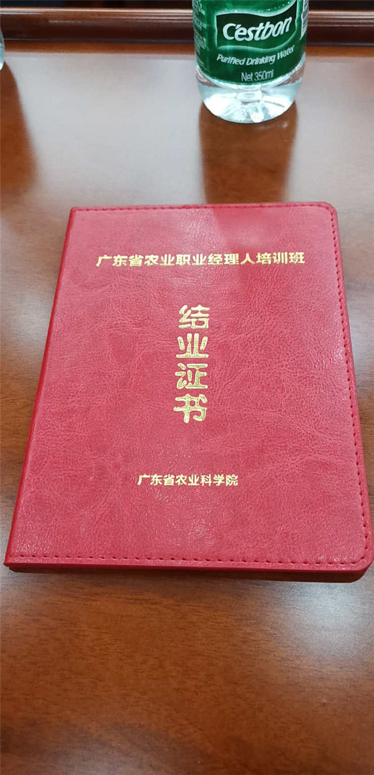 1-1Z419161613R5 首页 - PNG电子官方网站