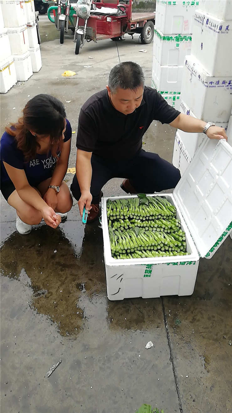 首页 - PNG电子官方网站