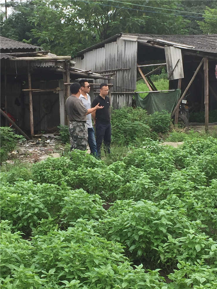 首页 - PNG电子官方网站