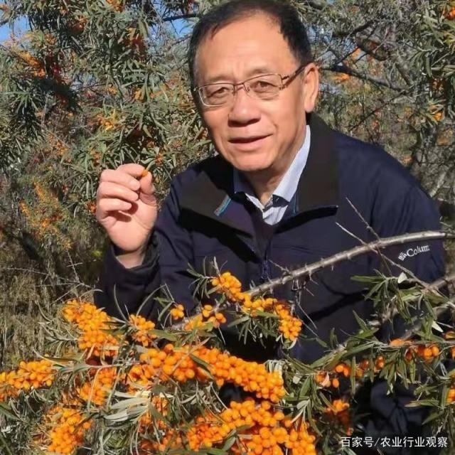 首页 - PNG电子官方网站