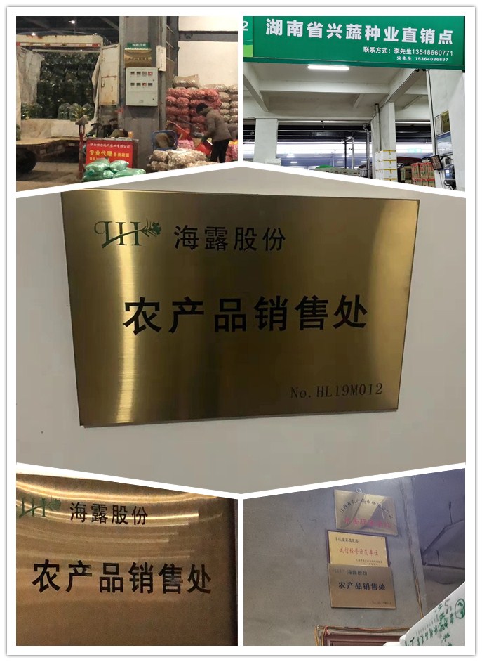 首页 - PNG电子官方网站
