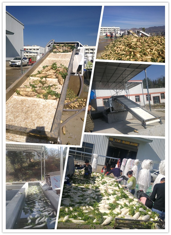 首页 - PNG电子官方网站
