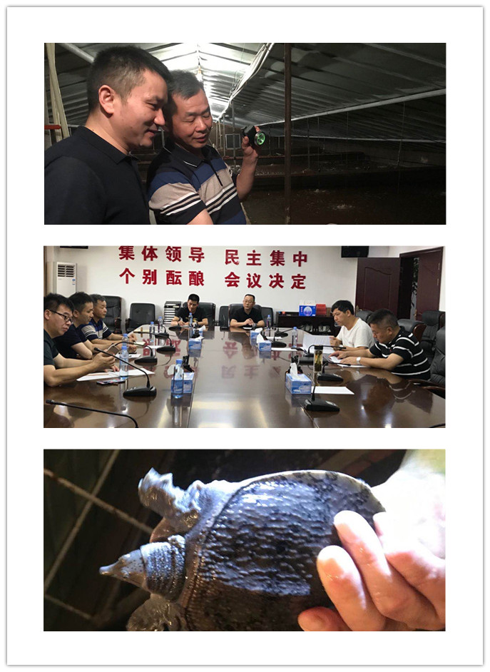 首页 - PNG电子官方网站