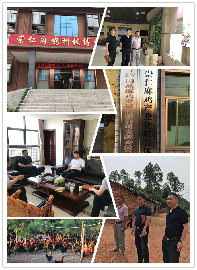 首页 - PNG电子官方网站