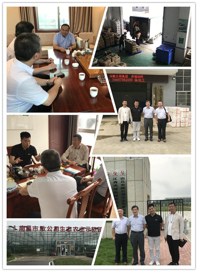 首页 - PNG电子官方网站