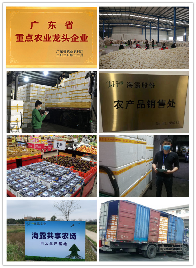 首页 - PNG电子官方网站