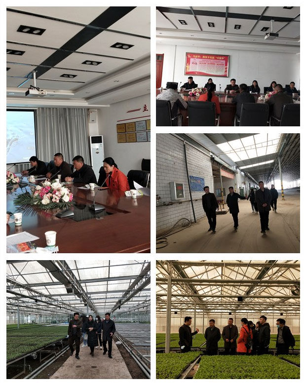 首页 - PNG电子官方网站