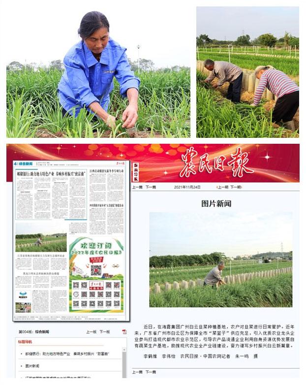 首页 - PNG电子官方网站