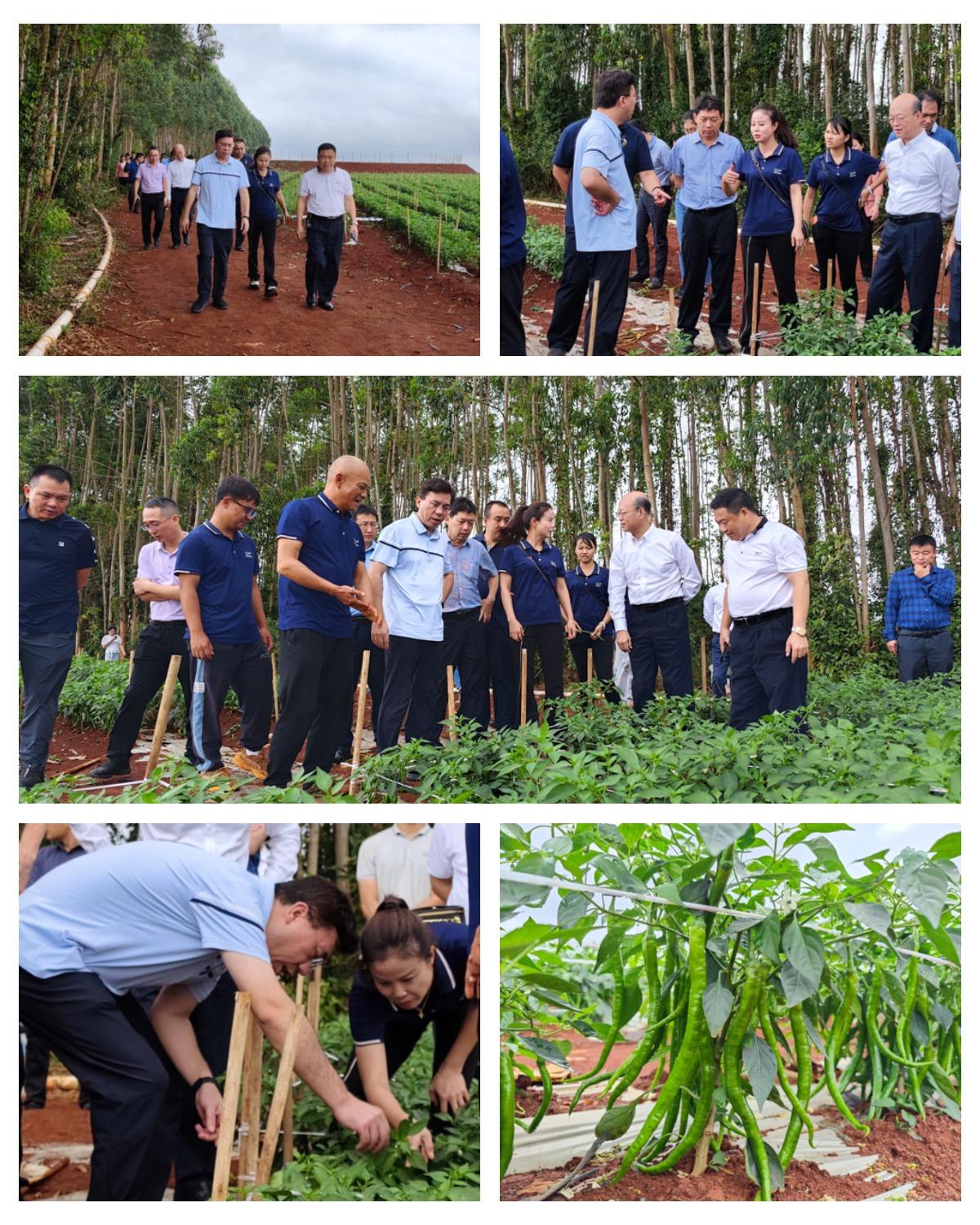 1-221124092541528 首页 - PNG电子官方网站