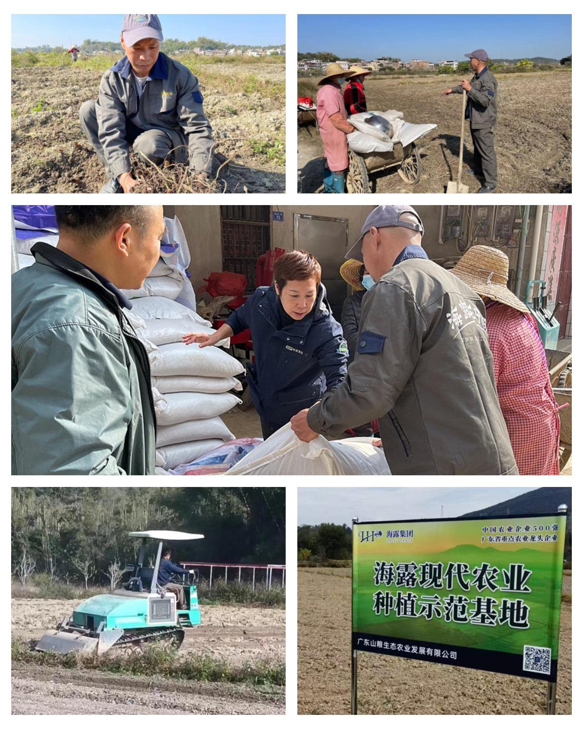 1-230110101S62U 首页 - PNG电子官方网站