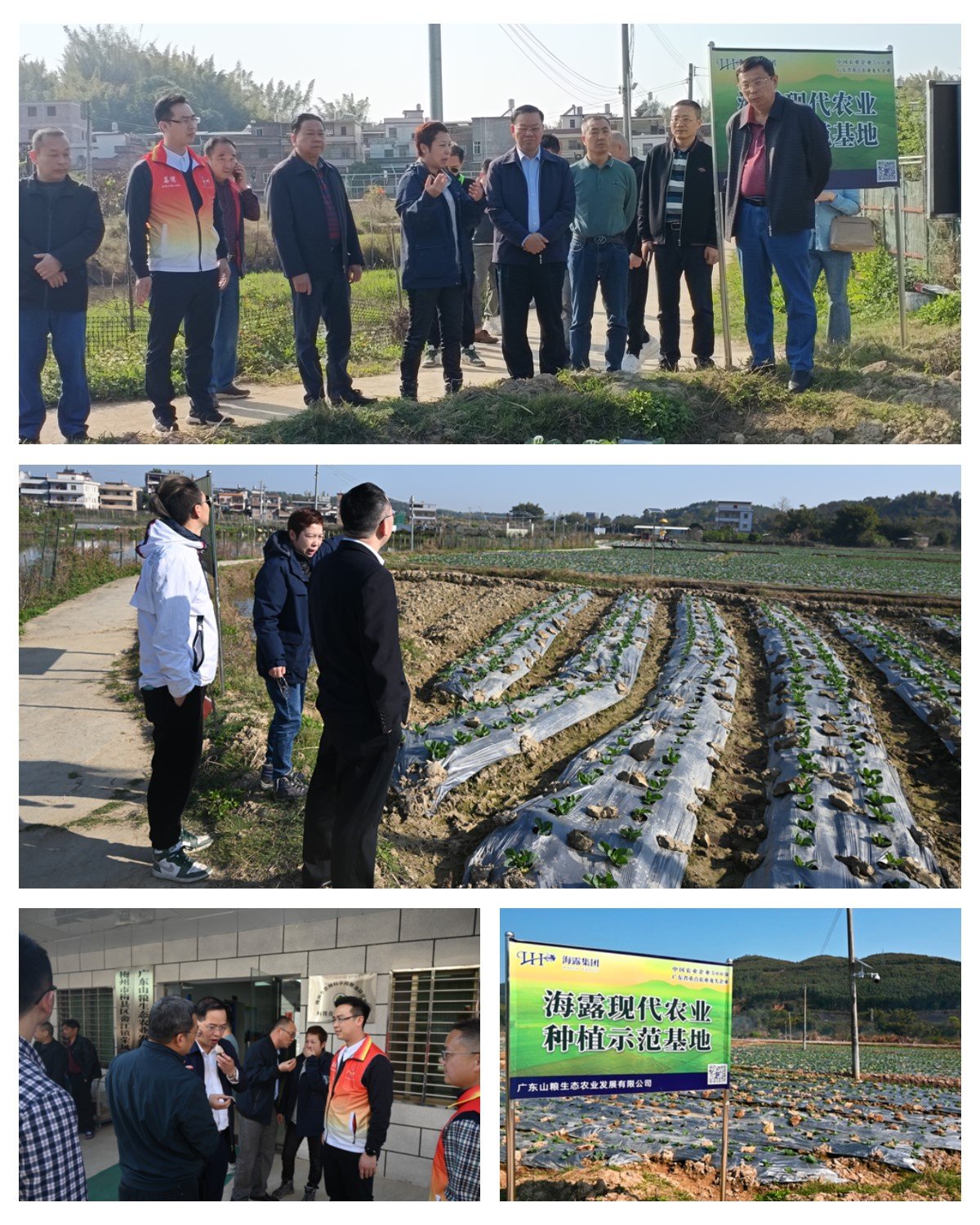 首页 - PNG电子官方网站