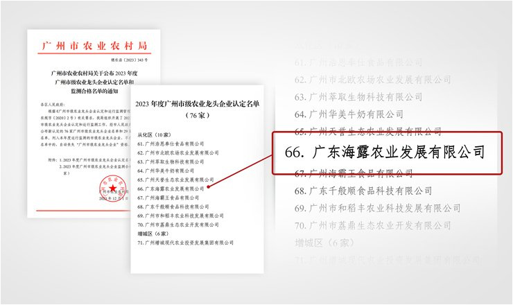 首页 - PNG电子官方网站