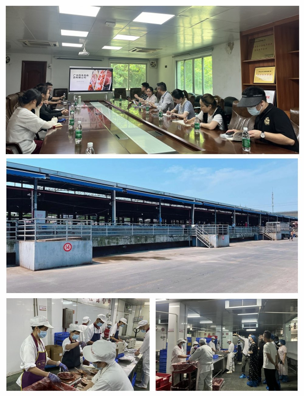 首页 - PNG电子官方网站