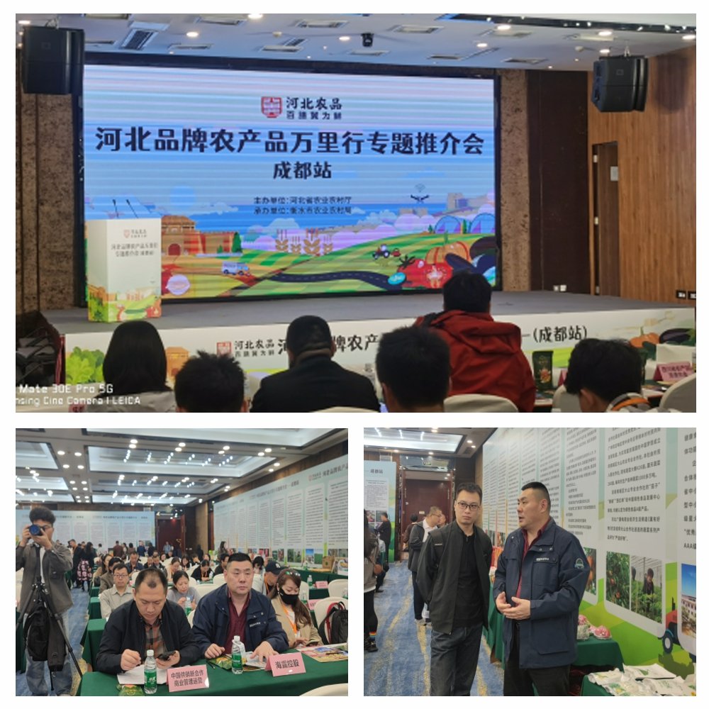首页 - PNG电子官方网站