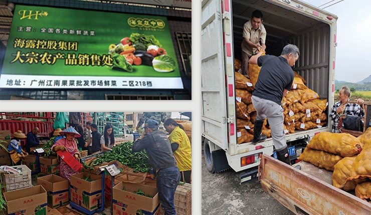 首页 - PNG电子官方网站