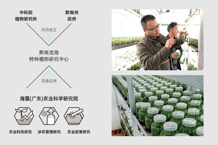 首页 - PNG电子官方网站