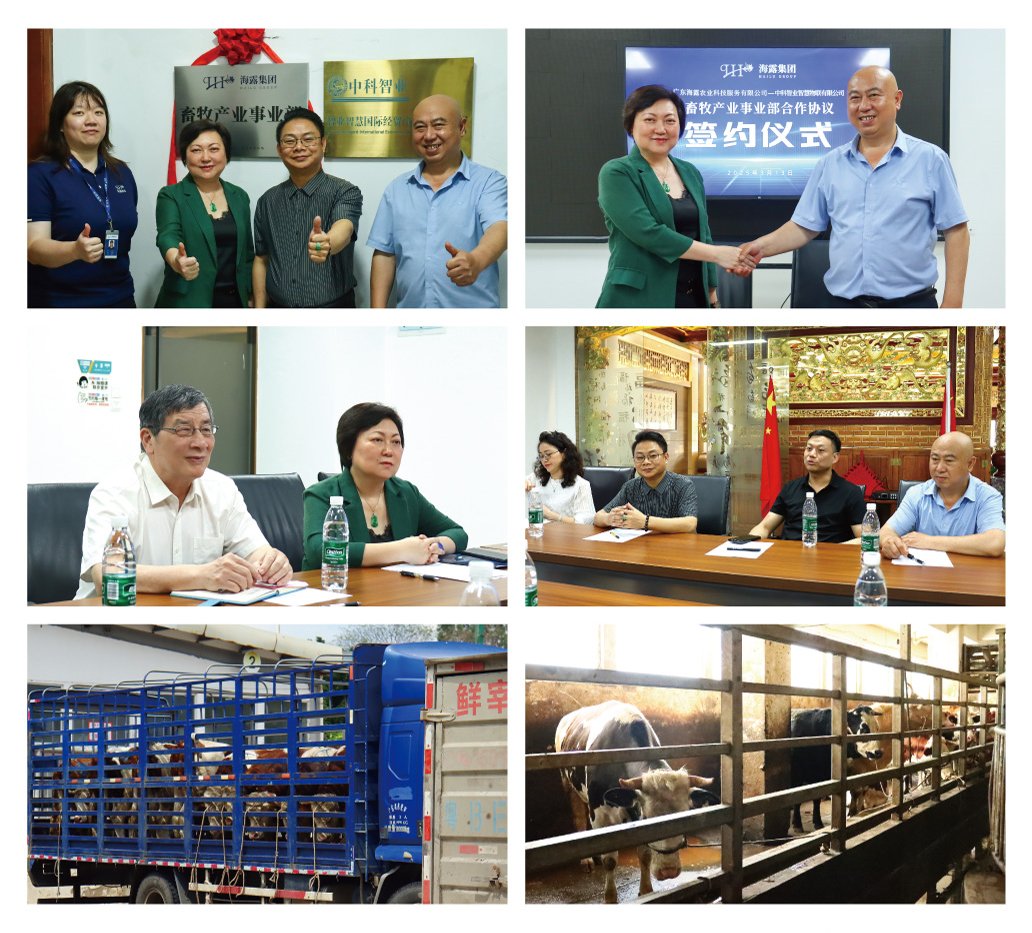 首页 - PNG电子官方网站