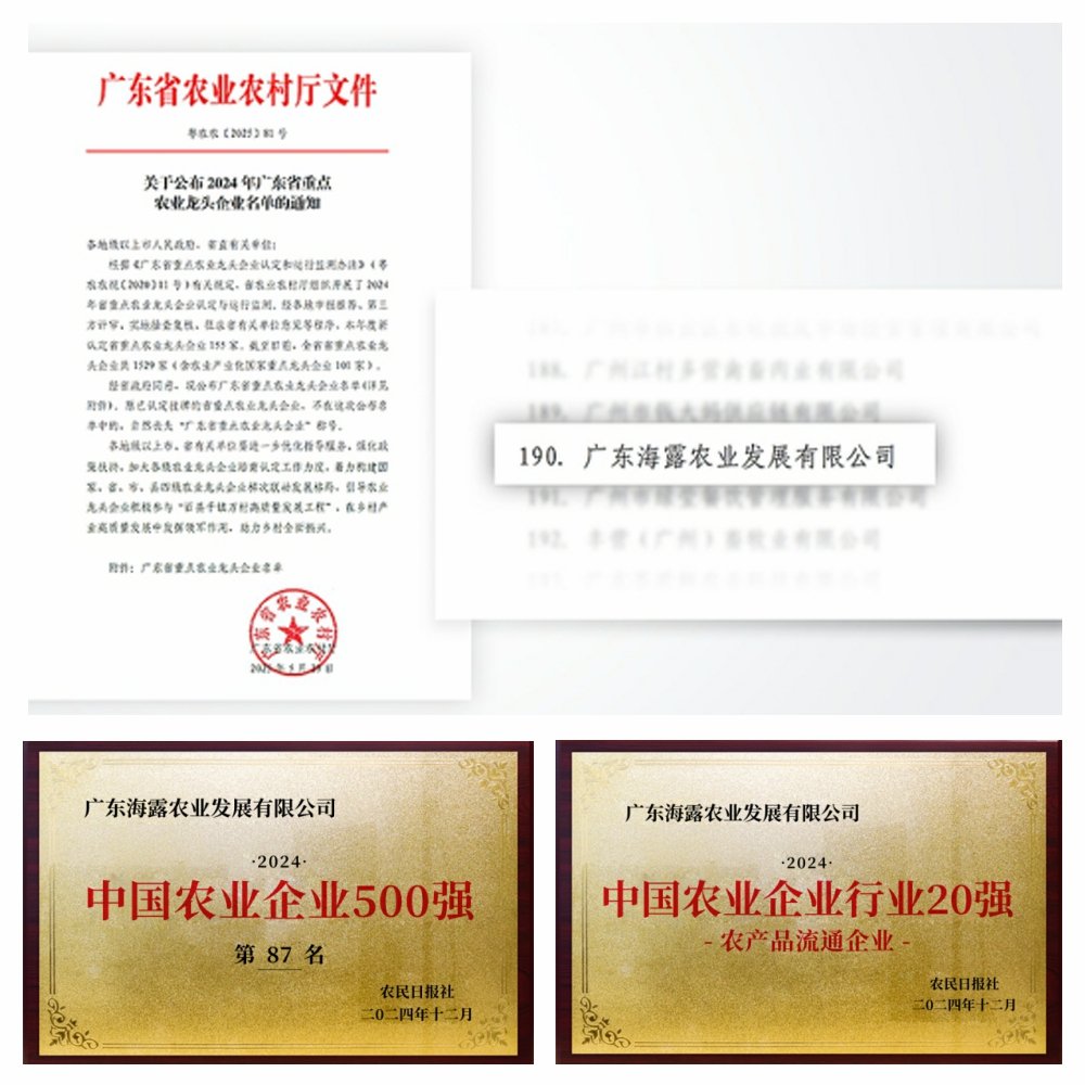 1-2506051411103H 首页 - PNG电子官方网站