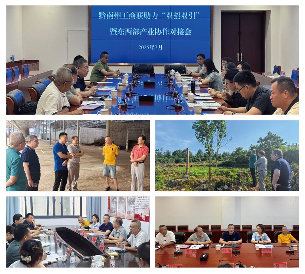 1-250F91P230155 首页 - PNG电子官方网站